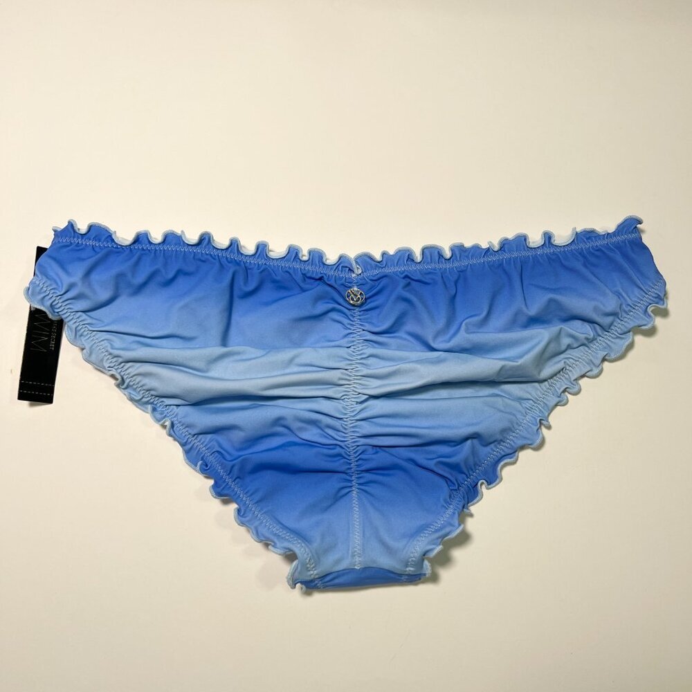 Victoria Secret 36D L Bombshell Push Up Bikini Top Bottom Set Pastel Blue Ombre - Picture 8 of 14